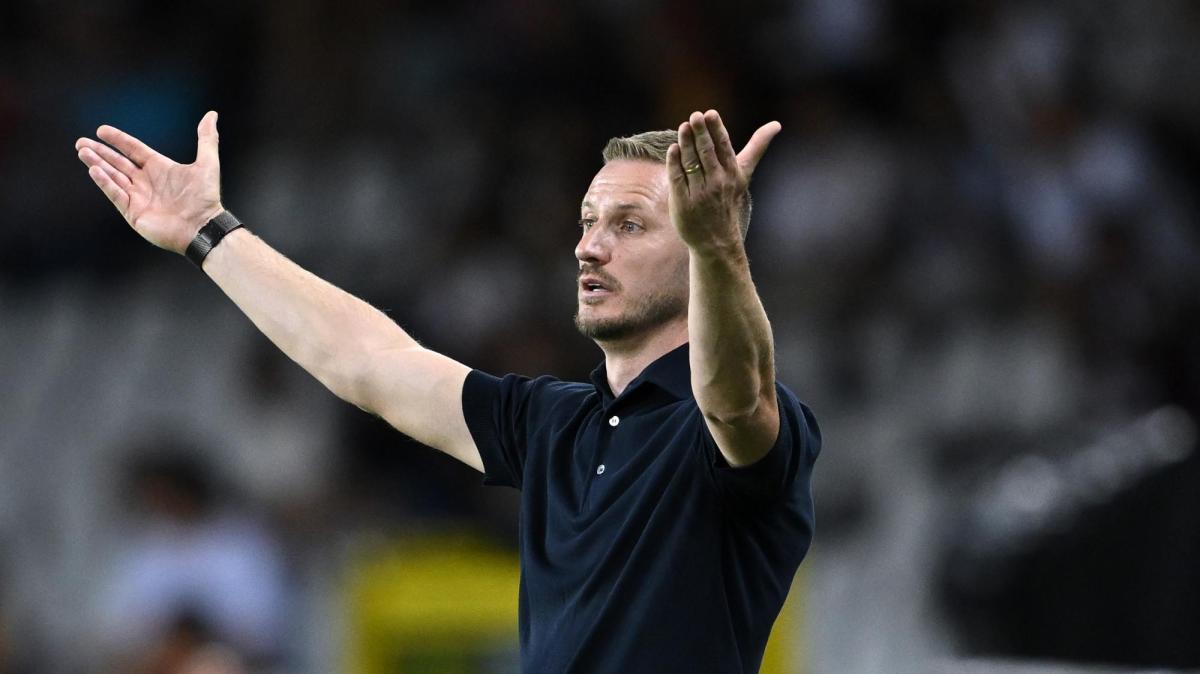 Torino, Abate: "Meritavamo qualcosa in più. Zapata in ritardi di condizione"