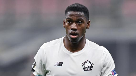 Quote calciomercato Napoli David, un altro ex Lille dopo Osimhen?