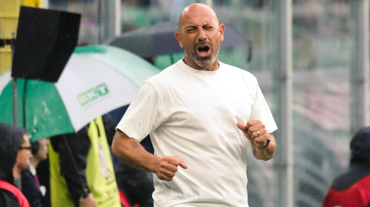 Padova, Calabro sul mercato estivo: "Rifiuti eccellenti, qualcuno con la puzza sotto al naso"