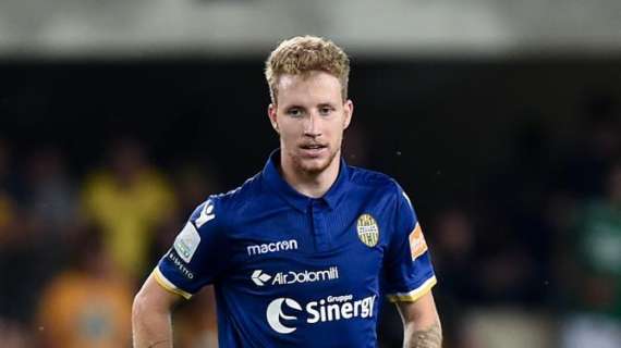 Hellas Verona, si punta al ritorno dello svedese Gustafson