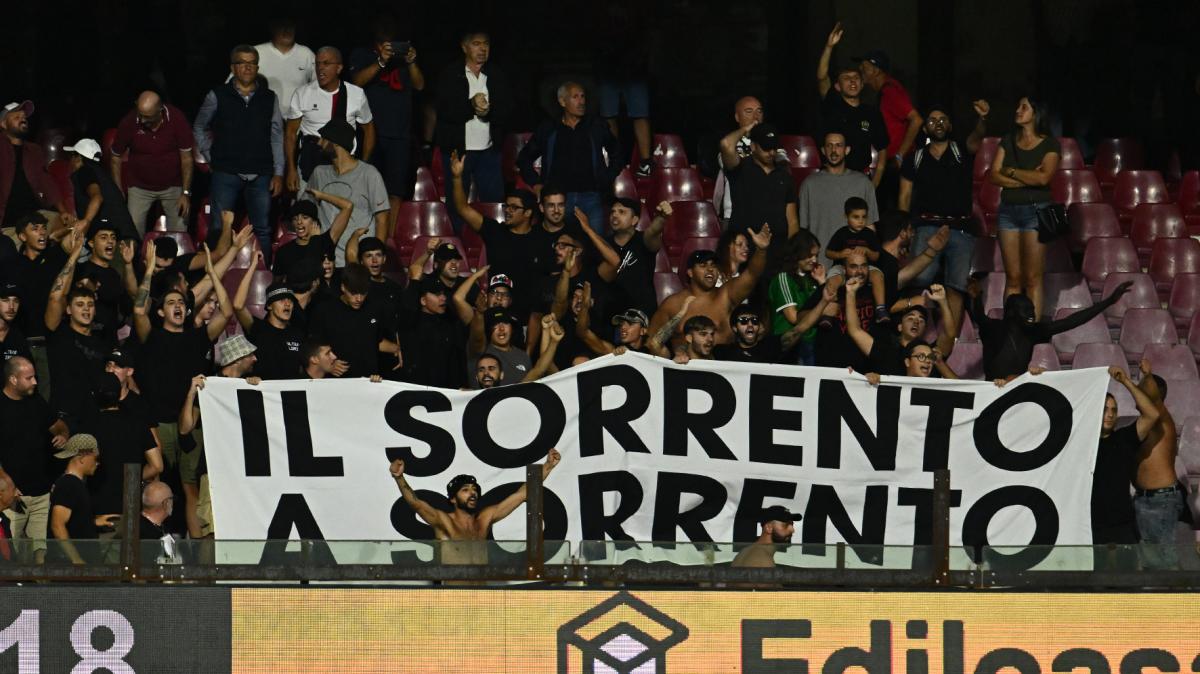 Cappiello: "Il futuro del Sorrento passa anche dalla ripresa dei lavori dello stadio Italia"