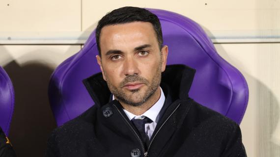 Fiorentina, Palladino: "È la partita dell'anno, vogliamo regalare una notte magica"