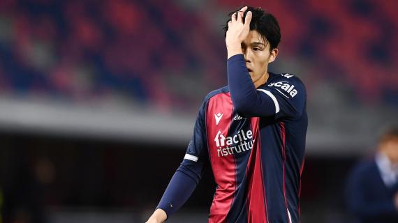 Le probabili formazioni di Bologna-Fiorentina: Tomiyasu recuperato: sarà titolare