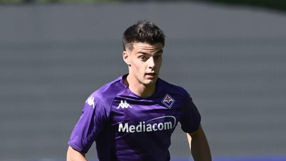 Fiorentina, la casuale svolta estiva di Pierozzi: doveva andare allo Spezia nell'affare Nzola