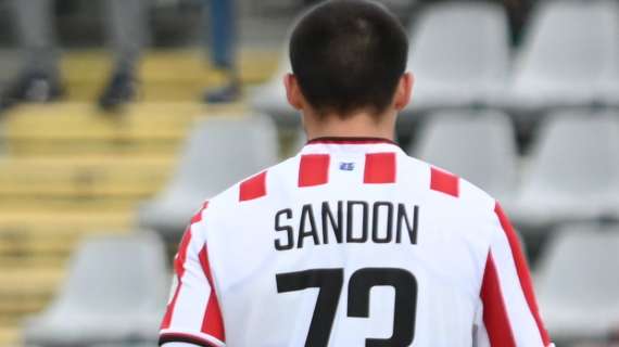 Vicenza-Carrarese, i convocati di Vecchi: ci sono Ferrari e Sandon. Out Tronchin