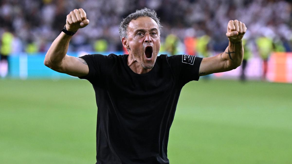 "Vogliamo tutto". PSG, Luis Enrique certo: "Sappiamo di poter vincere ancora la Champions"