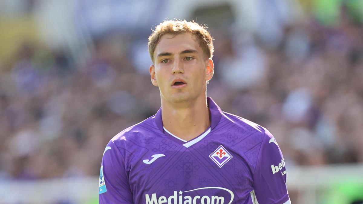 Pellegrino o Beto, decide Vanoli. Ma il ballottaggio è un bene o un male per la Fiorentina?