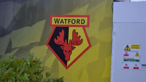 Watford, Pearson: "Ci siamo disuniti davanti a un avversario molto forte"