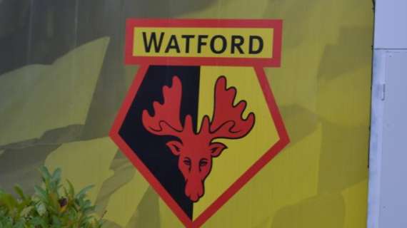 UFFICIALE: Watford, a gennaio arriva Joao Pedro