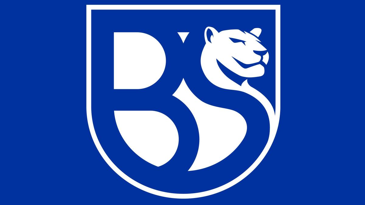 Immagine news Serie C n.1