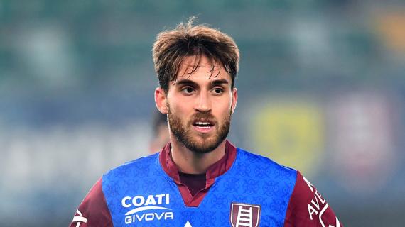 Parma, per il centrocampo spunta il nome di Palmiero: Ribalta segue il giocatore del Napoli