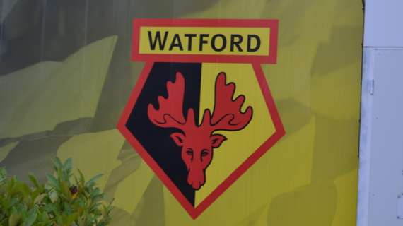 UFFICIALE: Watford, un giovane rinforzo per la Premier League. Preso Pollock