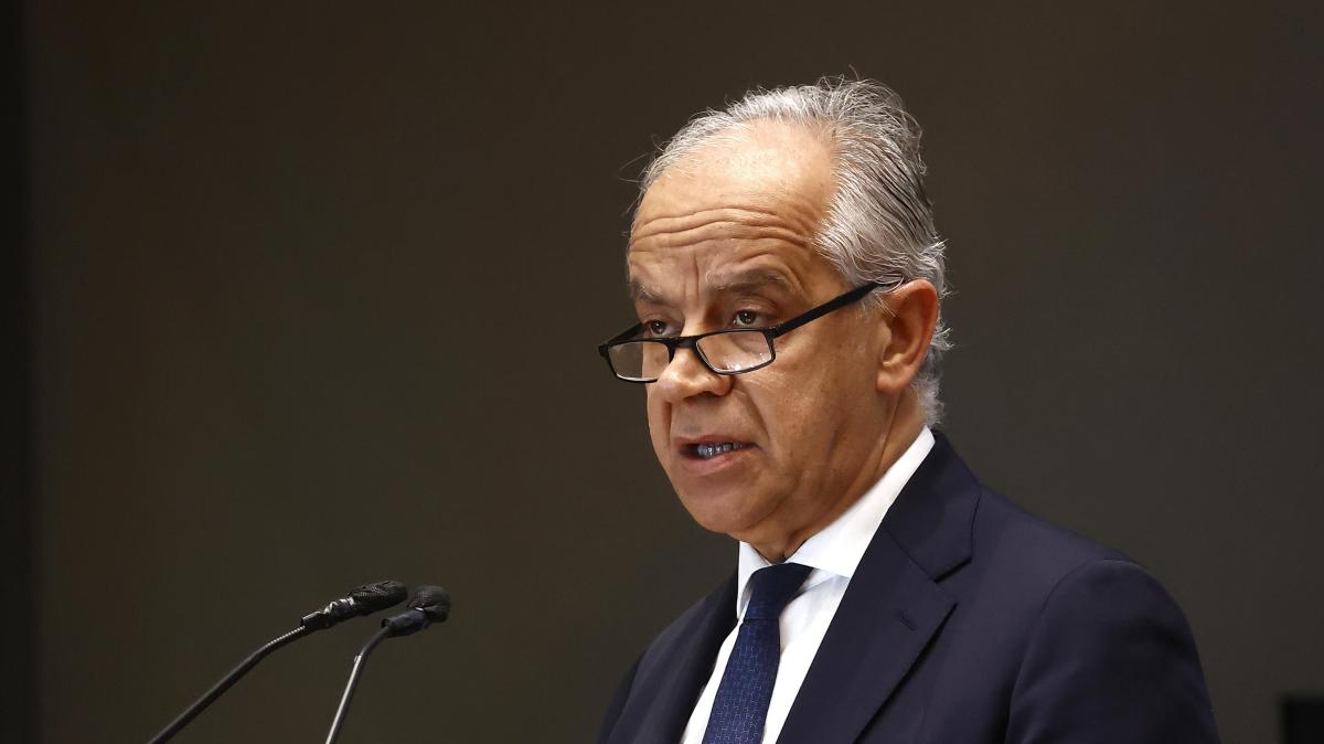 Serie A, tornano libere le trasferte dei tifosi di Pisa e Verona