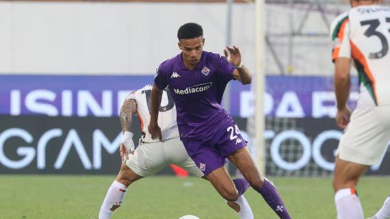 Richardson-Fiorentina, Tavano spiega il colpo: "Aveva rubato gli occhi a tantissimi club"