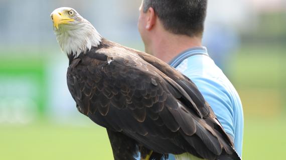 Lazio, con Bernabé addio anche ad Olympia. La società sta già cercando un'altra aquila