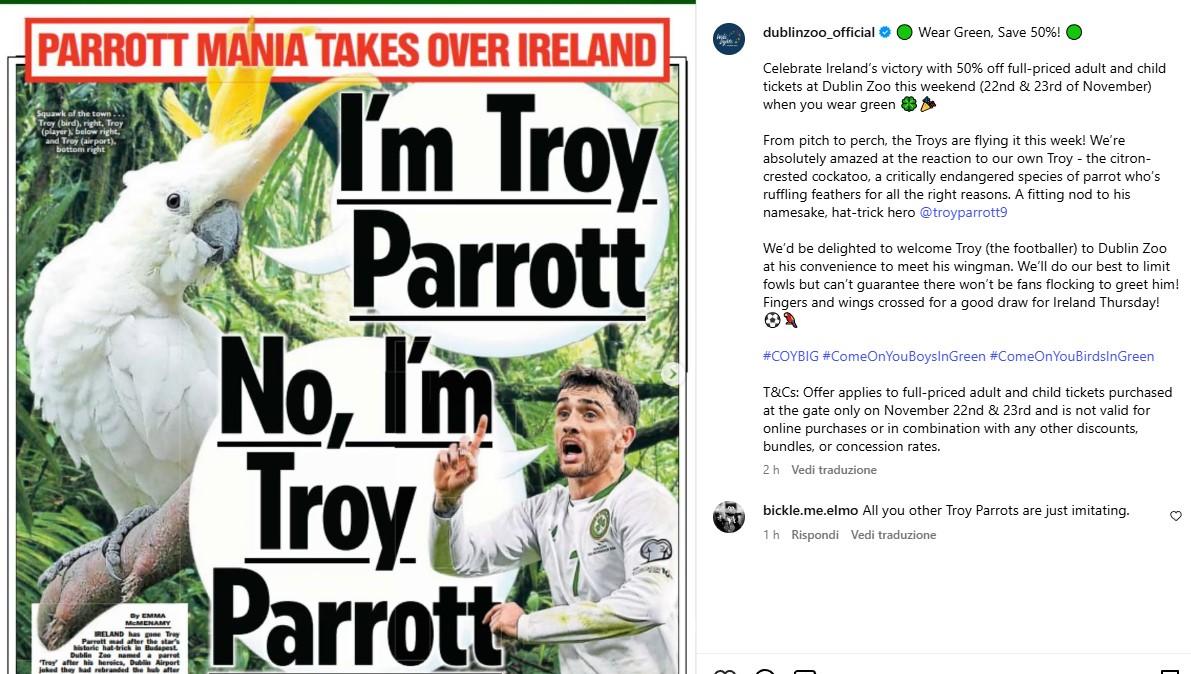 Parrott-mania in Irlanda: lo zoo di Dublino lo onora dando il suo nome a un pappagallo