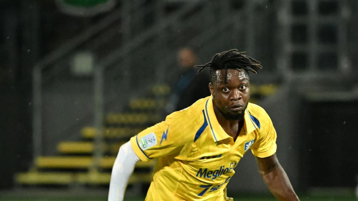 Frosinone-Monza, i convocati di Alvini: si ferma anche Kone, 9 gli assenti. C'è Sherri