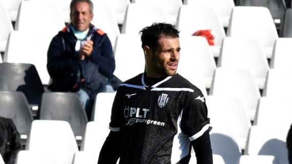 Ternana-Venezia, formazioni ufficiali: a fianco di Pohjanpalo c'è Pierini. Fere con Falletti out