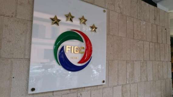 FIGC, squalifica di due turni per Esposito e Santaniello del Picerno