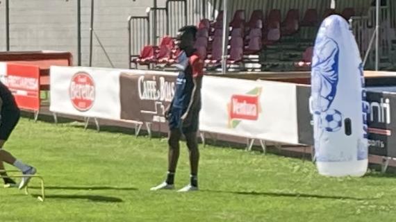 Entella, che colpo in attacco! Dal Genoa arriva in prestito David Ankeye