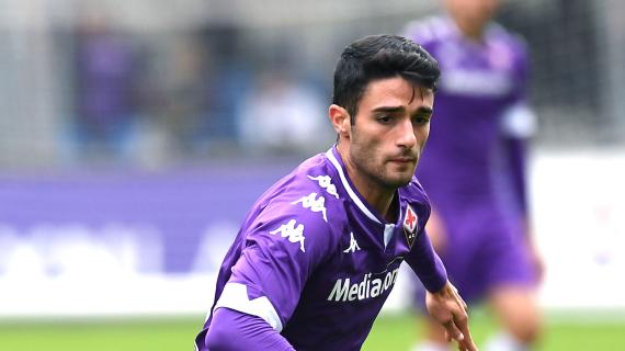 TMW - Fiorentina, anche la Sampdoria si fa sotto per Ferrarini: sfida a Hellas e Brescia