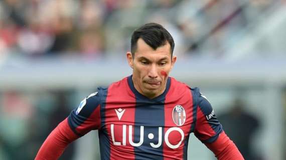 Udinese-Bologna, le formazioni ufficiali: Juwara dal 1'. C'è Medel