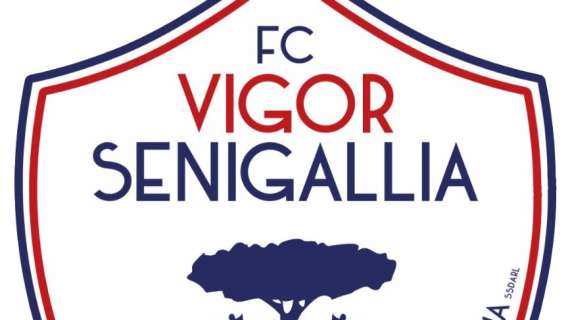 TMW - La Vigor Senigallia resiste alla concorrenza e blinda Kerjota. Blindato in rossoblù