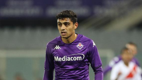 La Carrarese punta al rinforzo di spessore in attacco: nel mirino Distefano della Fiorentina