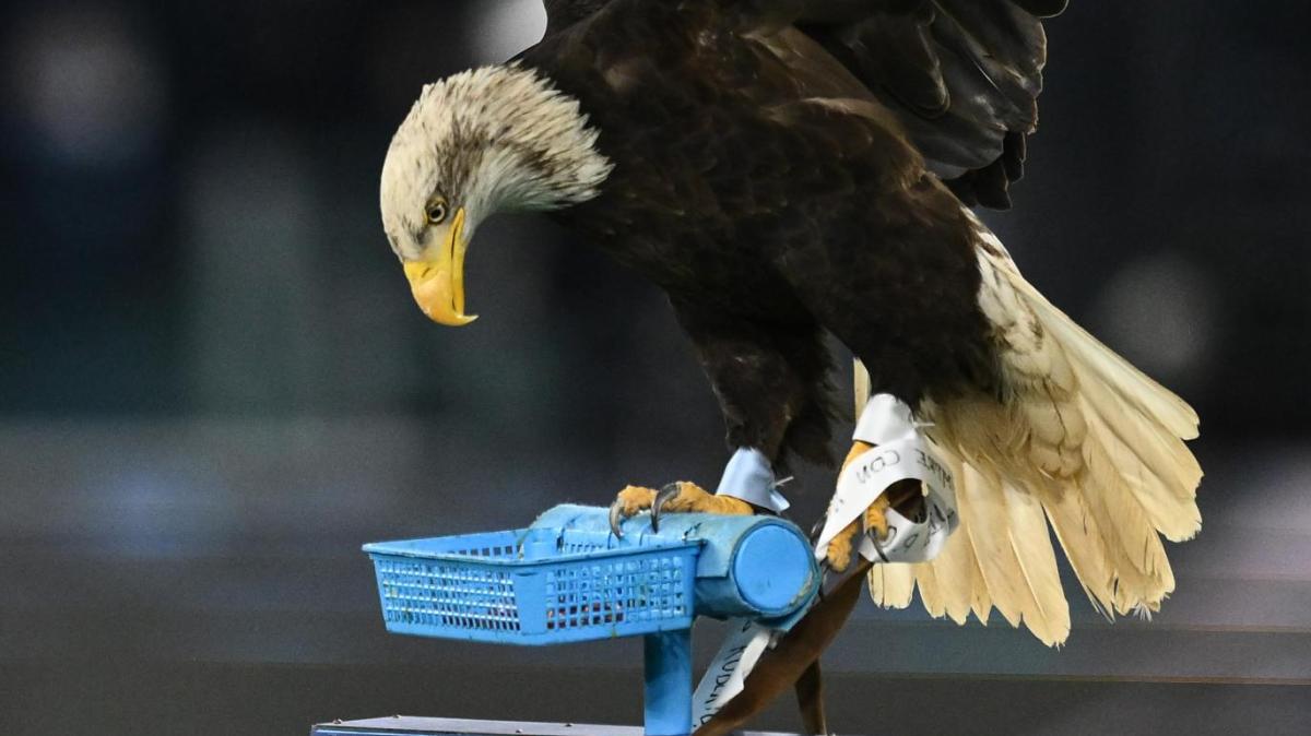 Immagine news primo piano TUTTO mercato WEB: notizie di calcio e calciomercato