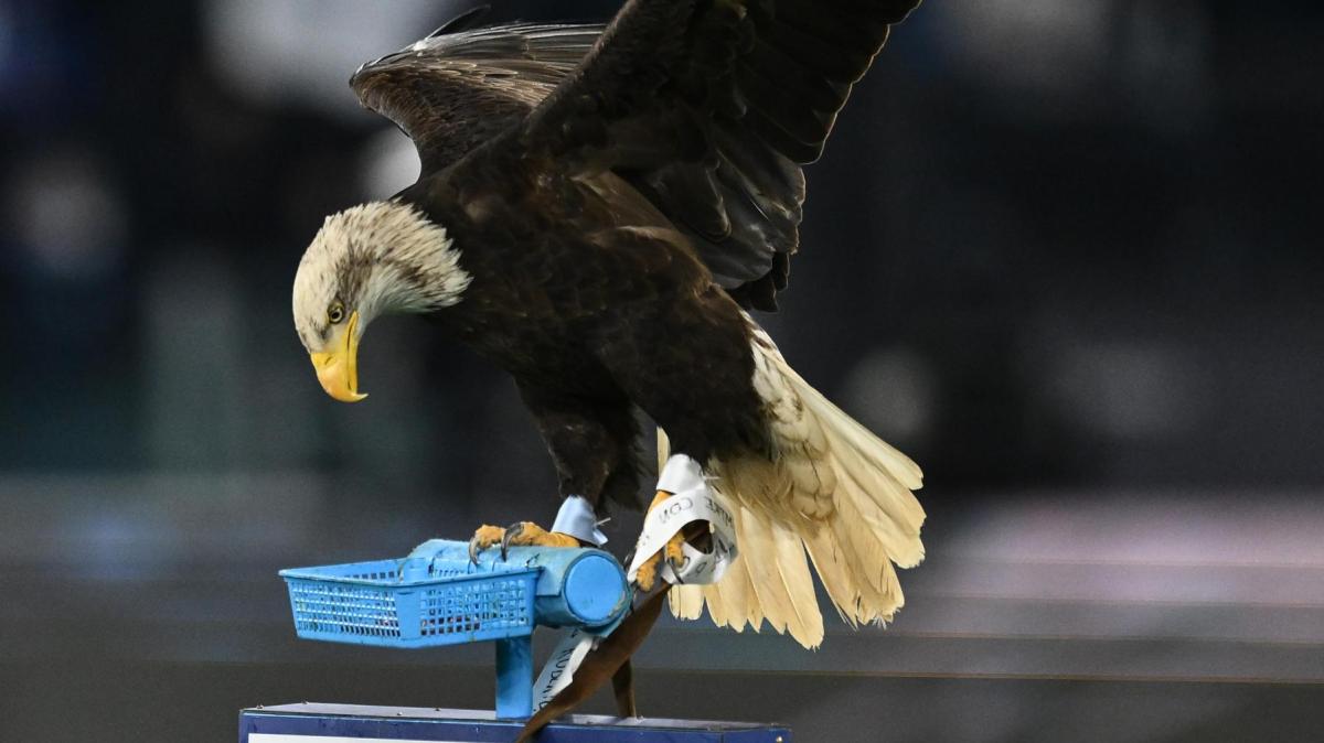 Immagine news Serie A n.2