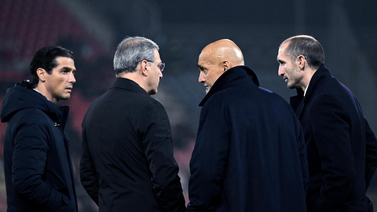 Immagine news primo piano TUTTO mercato WEB: notizie di calcio e calciomercato