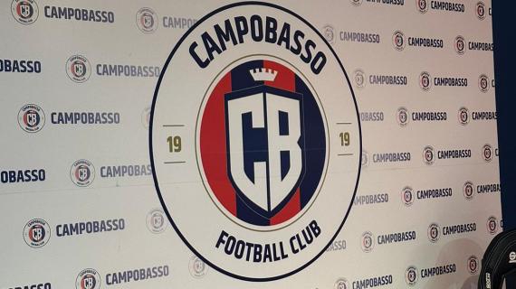 Campobasso, Brunet ma non solo. Nel mirino Petrovic e Magnaghi per l'attacco