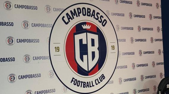 Campobasso, Figliomeni: "Città che vive di calcio e la sua tifoseria merita il massimo"