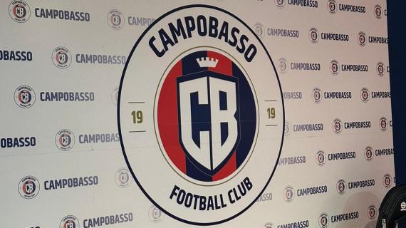 Campobasso, Figliomeni: "In attacco è in arrivo un giovane. Poi un profilo esperto"