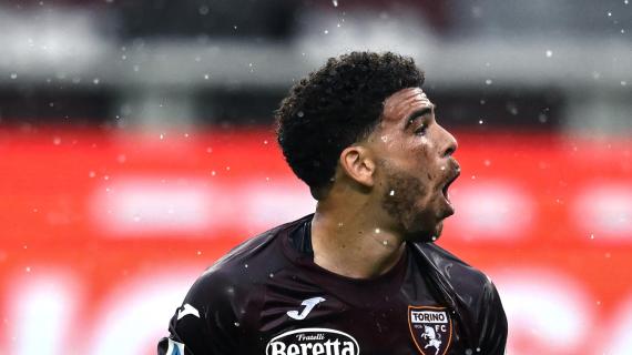 Le pagelle del Torino - Milinkovic-Savic fa quello che può, Adams non incide