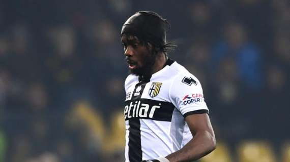Parma, Gervinho ancora ko: niente Juventus per l'ivoriano