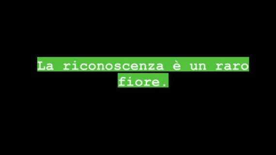 "La riconoscenza è un raro fiore". La polemica social della moglie di Immobile divide il web