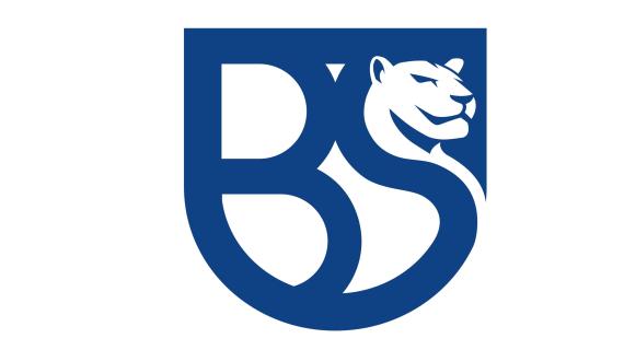 Union Brescia, approvato il bilancio al 30 giugno. Nominato il nuovo CdA