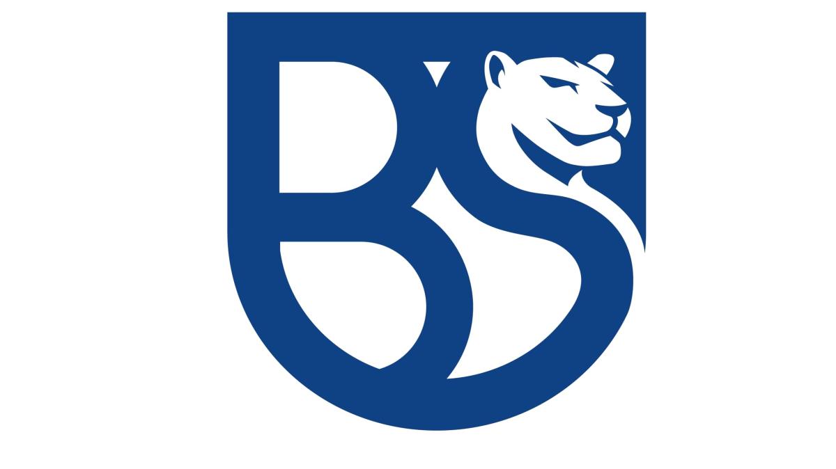 Immagine news Serie C n.1