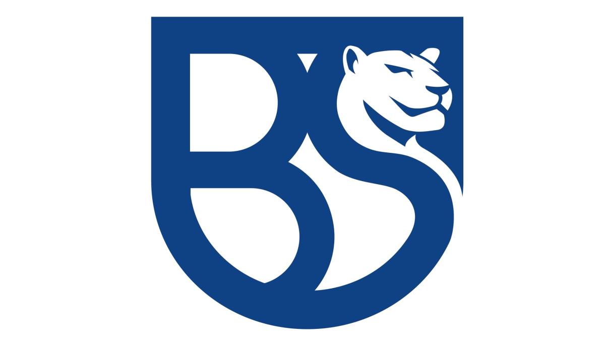 Strisce arancio-bleu e Leonessa sul cuore. L'Union Brescia ritorna alle origini