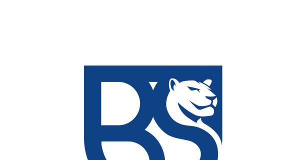 Union Brescia, Fogliata: "C'è tanta voglia di dare fiducia a tutti per questo progetto"
