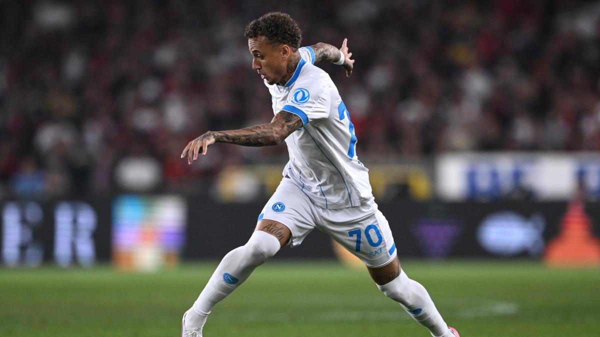 Fiorentina-Napoli, le probabili formazioni: gioca Pellegrino, Lang in vantaggio su David Neres