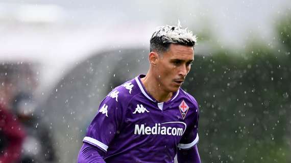 Fiorentina, Italiano: "Callejon sa bene cosa fare in campo. Può essere una freccia in più"