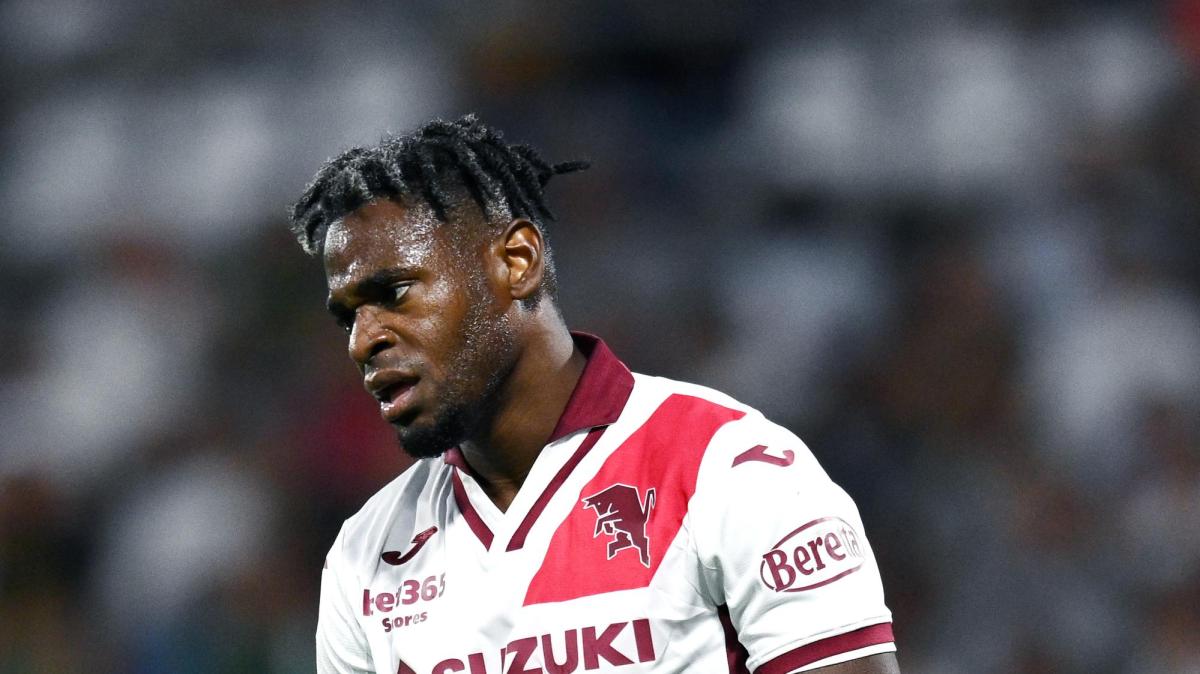 Torino, la sosta per ritrovare per Zapata: il ginocchio si era gonfiato, ma adesso...