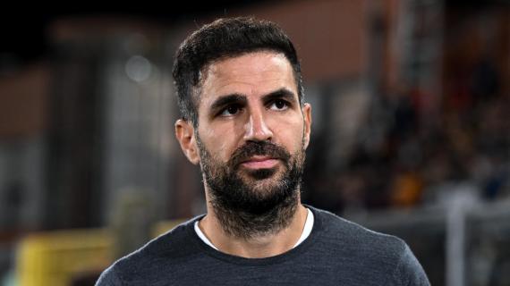 Como, Fabregas: "Nico Paz sta bene. Anche Perrone verrà convocato"