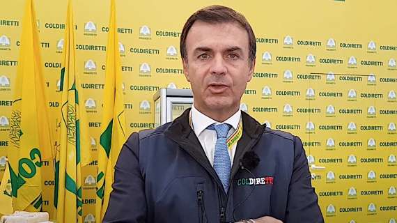 Prandini sul Brescia: "Se andrà in Serie C Cellino rinvierà di un anno la cessione del club"