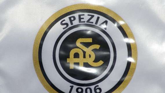 Spezia, Chisoli: "Se riprenderemo, si potrà ambire anche alla promozione diretta"