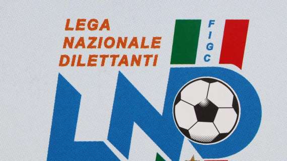 UFFICIALE: Serie D, ratificate le nove promozioni. Torna fra i pro il Palermo. Prima assoluta per il Bitonto