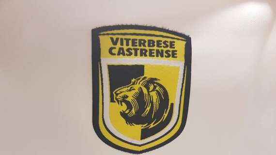 Serie C, girone C: vittoria della Viterbese sul campo del Picerno