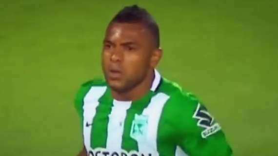 Gremio, tentativo per Miguel Borja. Il Palmeiras apre al prestito per diciotto mesi